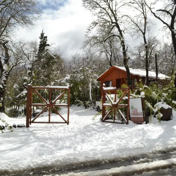 Cabañas Los Cuatro Robles，位于拉斯特朗卡斯的酒店