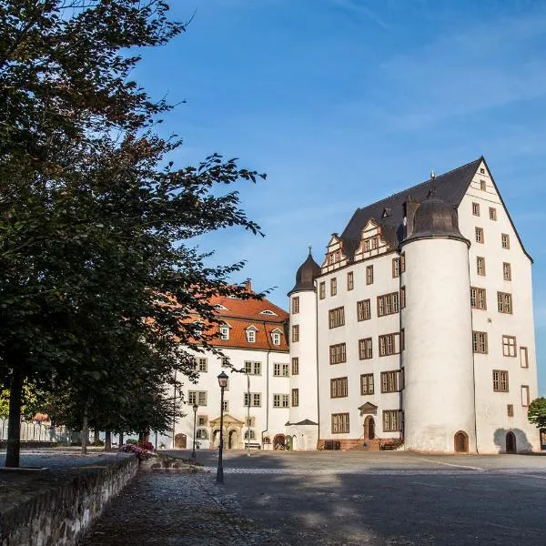 Pension Schloss Heringen，位于Hamma的酒店