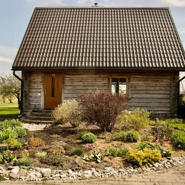 Rīga Mangalsala Cottage with sauna，位于里加的酒店