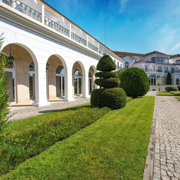 Montebelo Principe Perfeito Viseu Garden Hotel，位于Fagilde的酒店