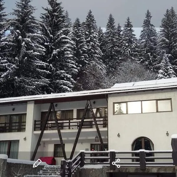 Timis Valley, Casa Eni&Dan，位于普雷代亚尔的酒店