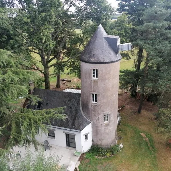 Le moulin de La Retardière，位于维尼厄德布列塔尼的酒店