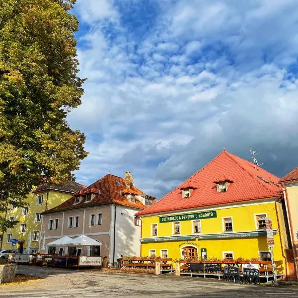 Pension U Kohoutů，位于Želnava的酒店