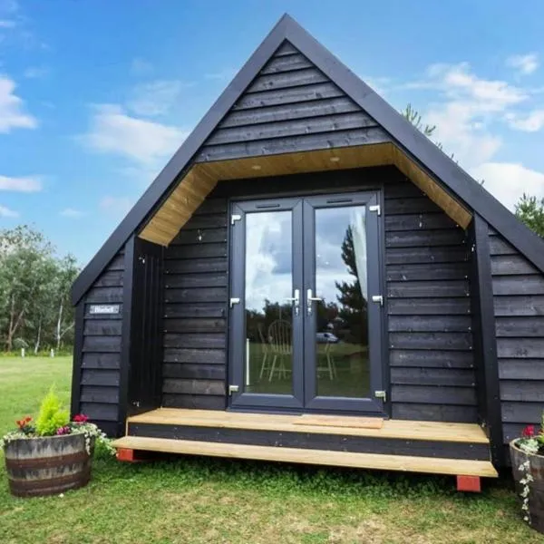 Wildflower Meadow Cabins，位于Feltwell的酒店