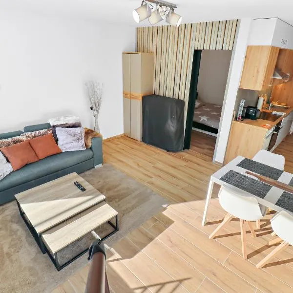 Appartement cosy et rénové au cœur de la station，位于克莱恩 蒙塔纳的酒店