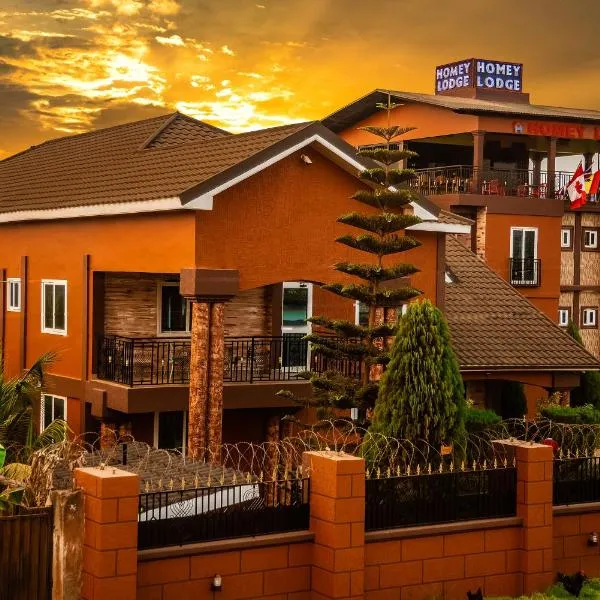 Homey Lodge，位于Abuakwa的酒店