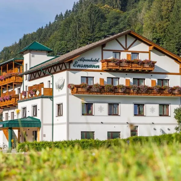 恩斯曼高山旅馆，位于Weissenbach an der Enns的酒店
