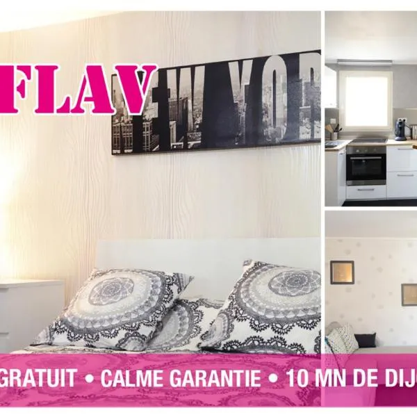 Le Flav - Charmant appartement à 10 mn de Dijon，位于Fleurey-sur-Ouche的酒店