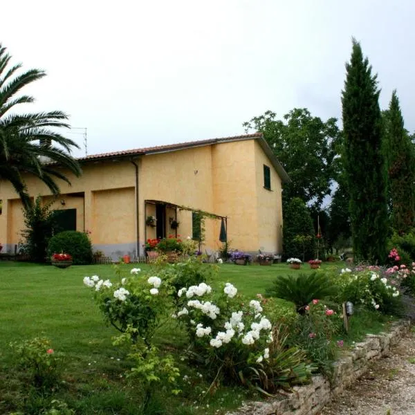 Agriturismo Santa Maria，位于Piansano的酒店