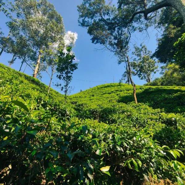 Pepper Garden Resort，位于埃拉的酒店