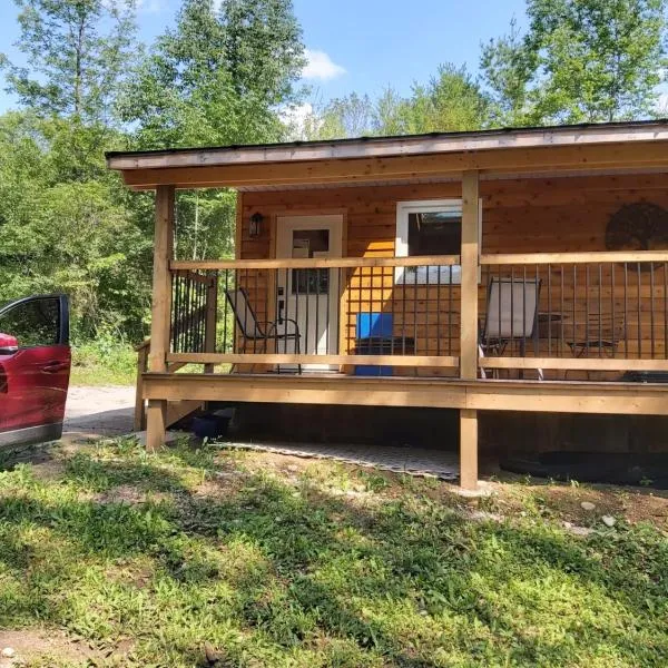 Serene Westside Tiny Cabin，位于Clinton的酒店