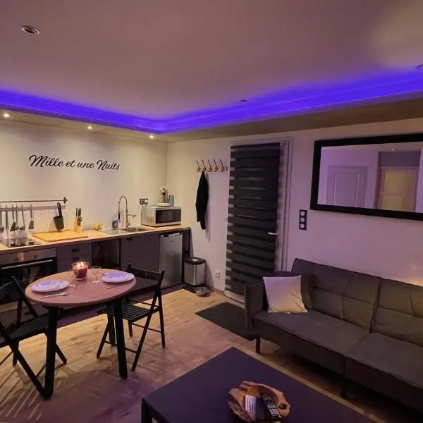 Mille et une nuit, appartement classé 3 étoiles en RDC avec exterieur et parking，位于多勒的酒店