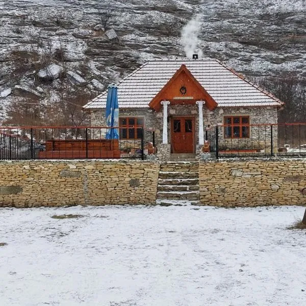 Casa Agricultorului Varzari，位于Butuceni的酒店