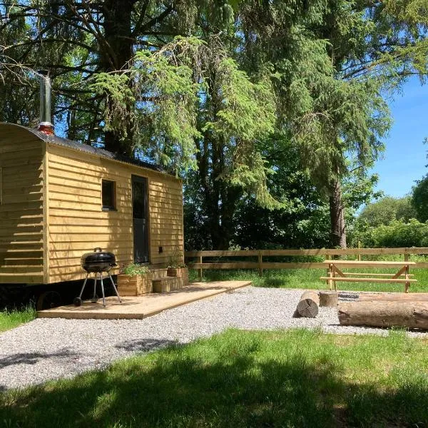 Swaledale Shepherd's Hut，位于牛顿阿伯特的酒店