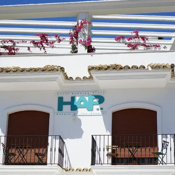 Hotel Avenida Playa，位于萨阿拉德洛斯阿图内斯的酒店