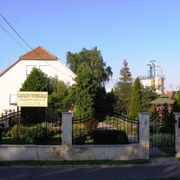 Katalin vendégház，位于Tolcsva的酒店