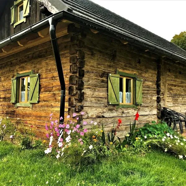 Domki z bali Ciche Marzenie，位于Bezmiechowa Dolna的酒店