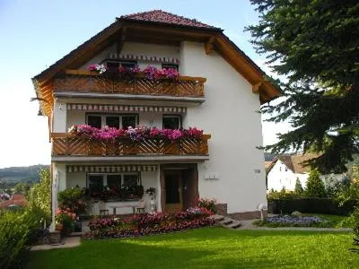 Villa Bellevue，位于Waldkappel的酒店
