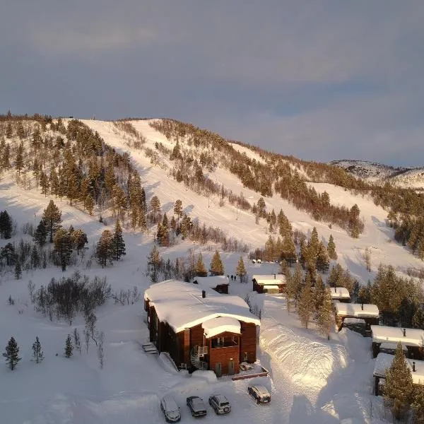 Bjørnfjell Mountain Lodge，位于阿尔塔的酒店