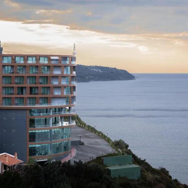 BLUE MUDANYA HOTEL，位于Zeytinbağı的酒店