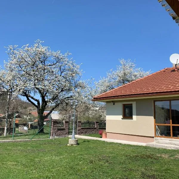 Chata Aurelia，位于新巴尼亚的酒店