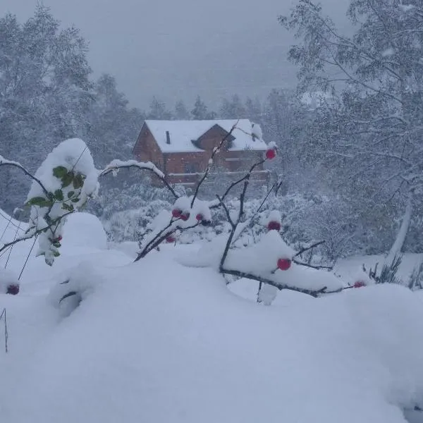 Chalet bois au milieu des Pyrénées，位于Mérens-lès-Vals的酒店