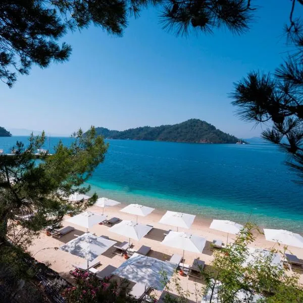 D Resort Gocek Special Category，位于Gökçeovacık的酒店