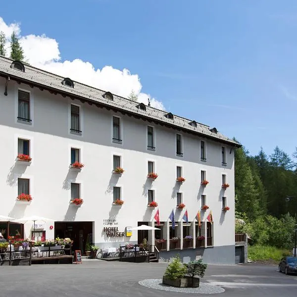 瓦尔泽餐厅酒店，位于Cavergno的酒店