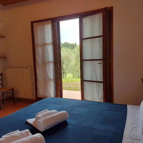 I Girasoli di Lari - Bilocale La Margherita，位于Ripoli的酒店