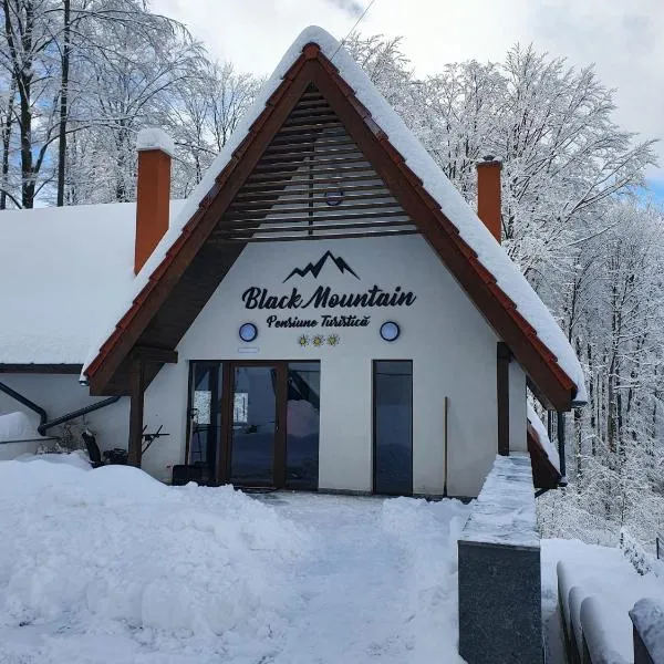 Pensiunea Black Mountain，位于Dăneşti的酒店