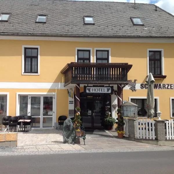 Hotel Restaurant Schwarzer Adler，位于Rohrbach an der Lafnitz的酒店