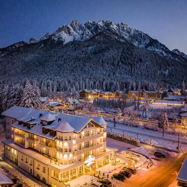 贝尔维尤公园酒店，位于多比亚科的酒店