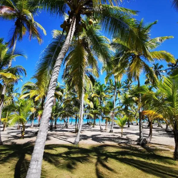 Hotel Playa Mandala，位于帕洛米诺的酒店