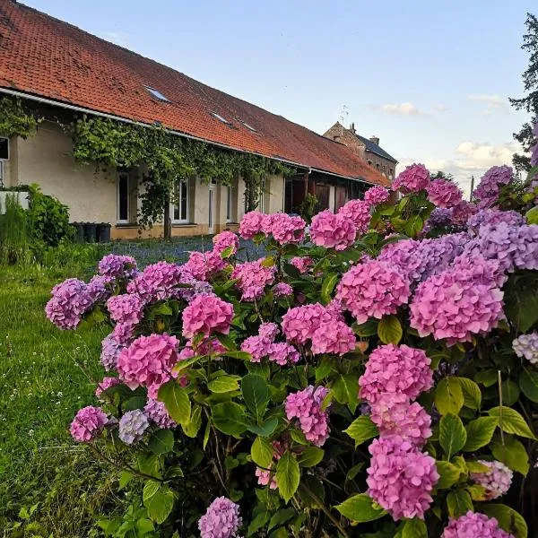 Eco-Gîte de L'Etang Présent，位于Beuvry-Nord的酒店