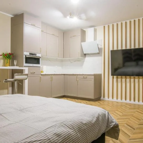 Central Apartments Goleniow Luxury，位于戈莱纽夫的酒店