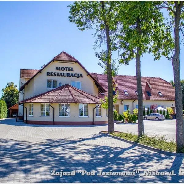 Zajazd Pod Jesionami，位于Wilcza Wola的酒店