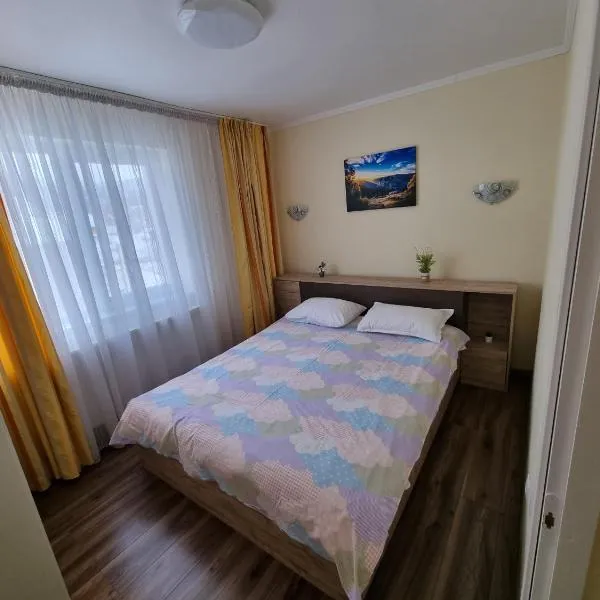 11 RESIDENCE APARTMENT，位于Borcut的酒店