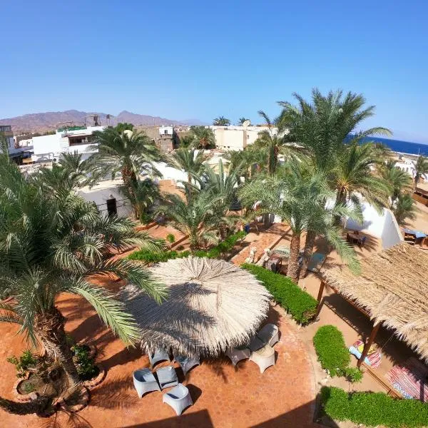 Miramar Camp Dahab，位于达哈布的酒店