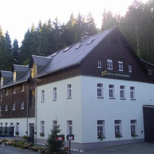 Waldhotel Dietrichsmühle，位于奥泊维森塔尔的酒店