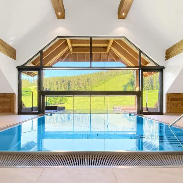 SCHWARZENBACH - Apartments & Rooftop Pool，位于费尔德伯格的酒店