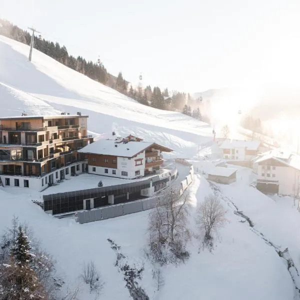 Landhaus Saalbach - Ski in & out，位于萨尔巴赫的酒店