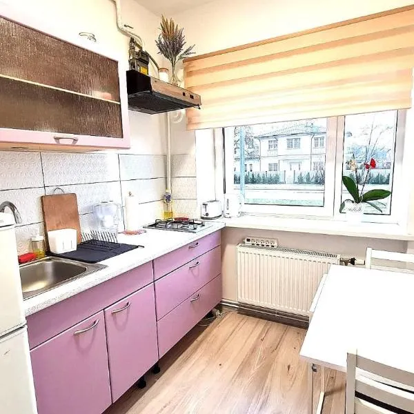 SP Apartment Klaipedas street close to beach，位于利耶帕亚的酒店