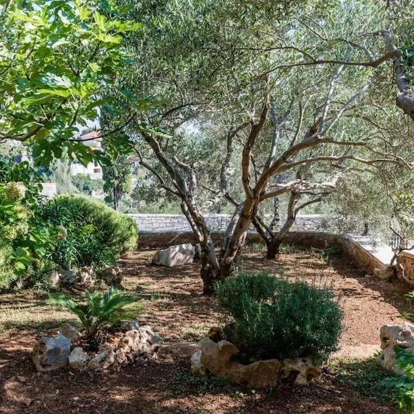 Villa Venus，位于塞尔察的酒店