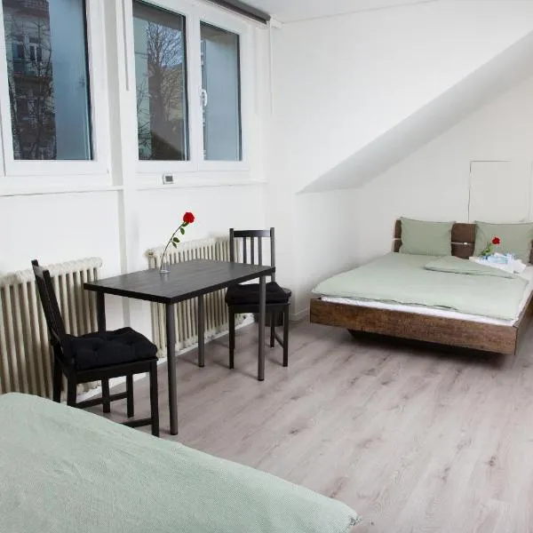 Simpel Rooms Vintage Rustica nähe Uni, Olma, Spital，位于圣加仑的酒店