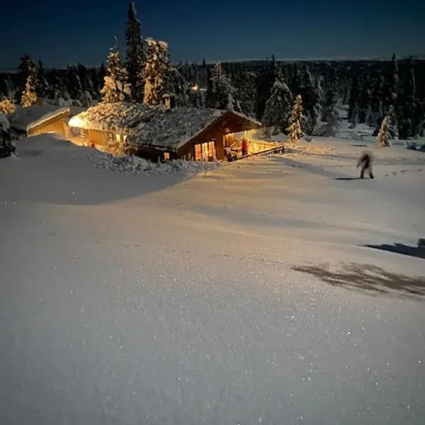 Hytte sentralt Ljøsheim, Ringsaker(nær Sjusjøen)，位于Ringsaker的酒店