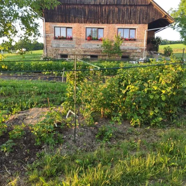 Apartmán U Milušky，位于Brocná的酒店