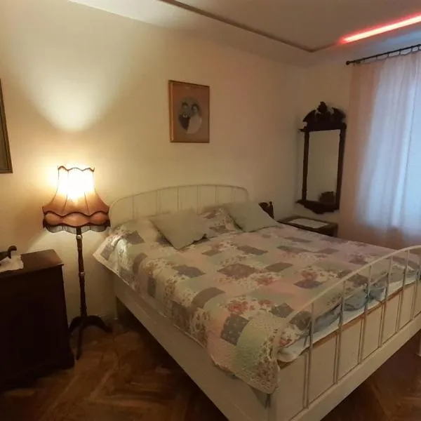 Majakovski Junior Suite，位于Voka的酒店