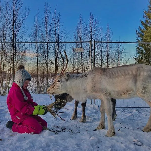 Beautiful rural experience with reindeer，位于Loue的酒店