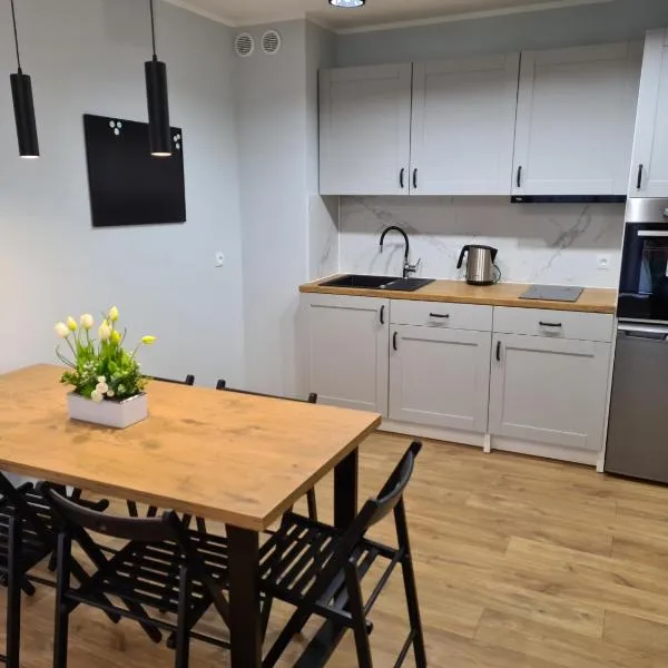 Apartament Mickiewicza，位于帕克的酒店