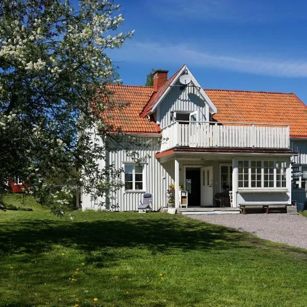 Villa Weidling B&B，位于Fröskog的酒店